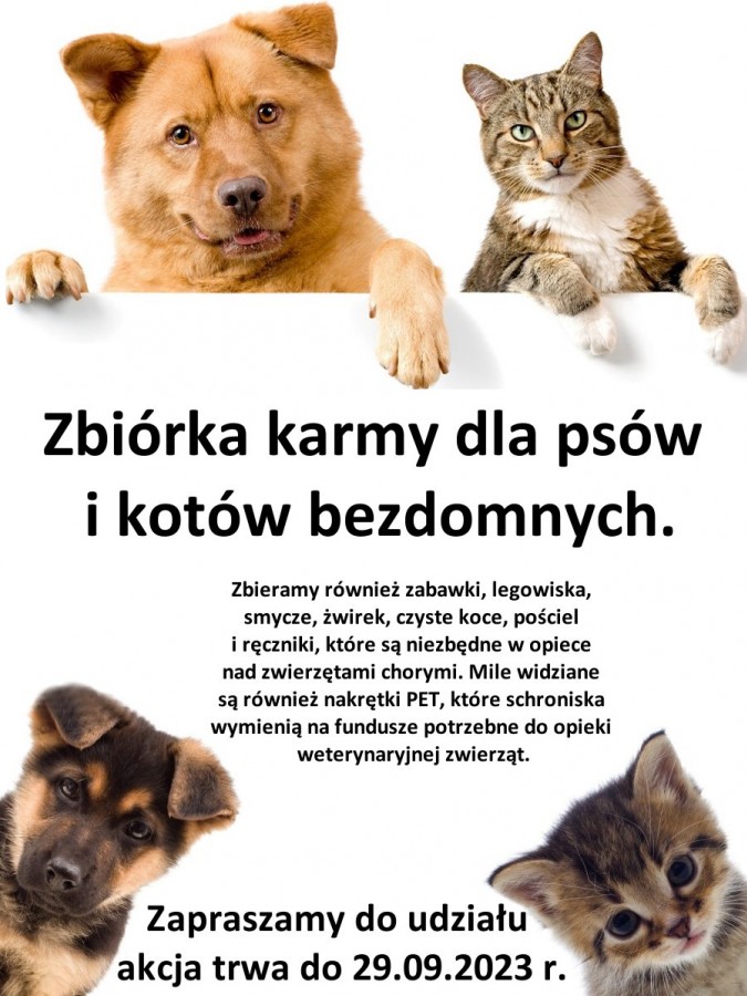 Pełna miska dla schroniska